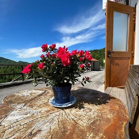 B&B Casa Svetlana Taipana Zewnętrze zdjęcie